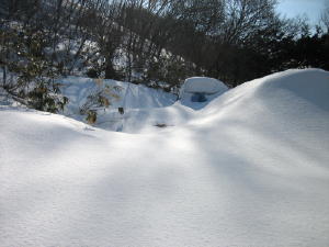 20120305雪3.jpg