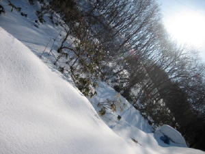 20120305雪4.jpg