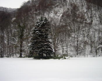 20121222冬の山３.jpg